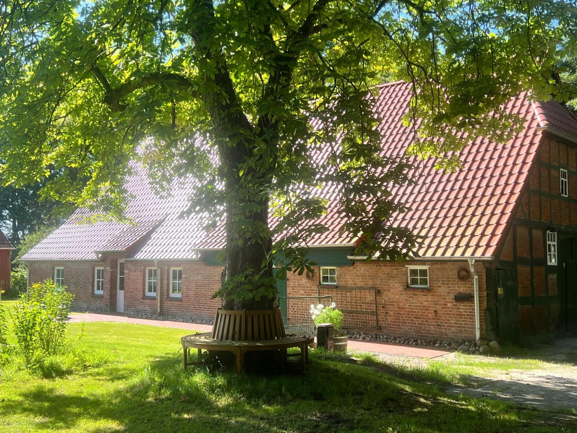 Ferienwohnung Mit Garten In Meyenburg - Keine Monteure Schwanewede المظهر الخارجي الصورة